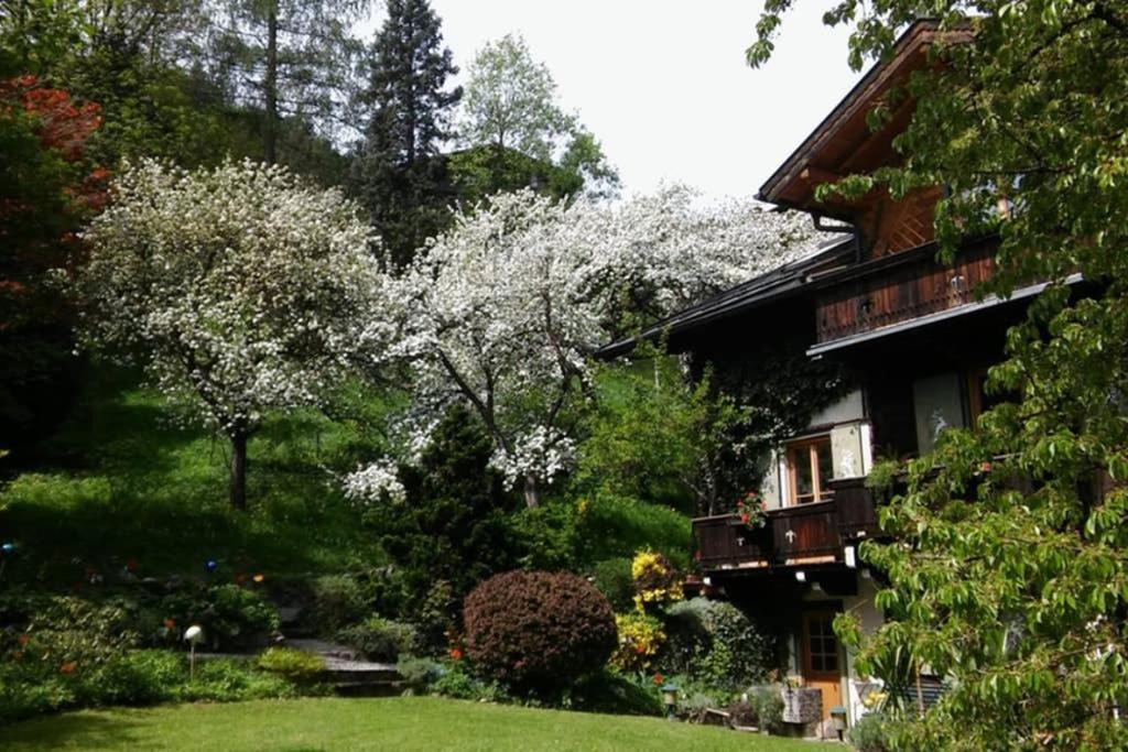 Haus Weidmannsheil - Wohnen Im Romantischen Forsthaus Werfen Exterior foto