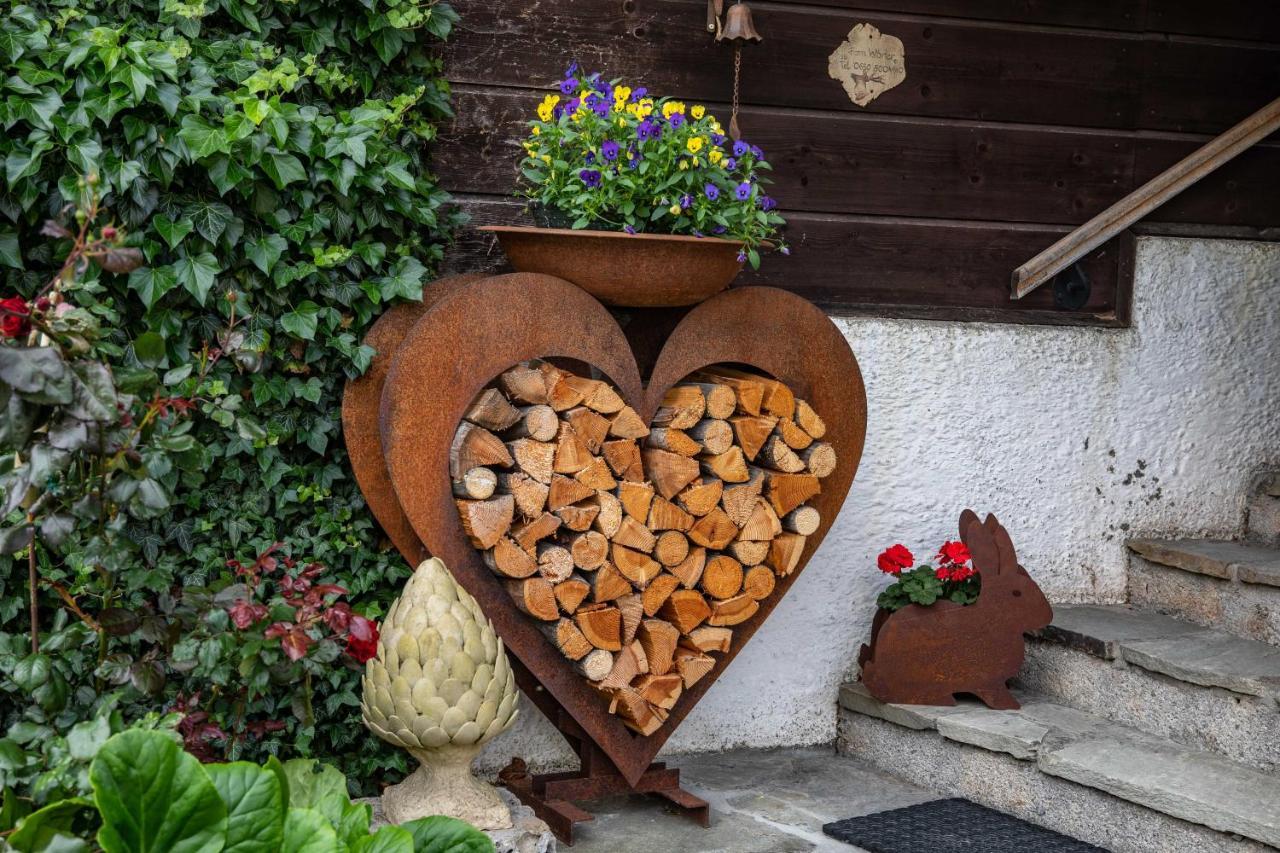 Haus Weidmannsheil - Wohnen Im Romantischen Forsthaus Werfen Exterior foto